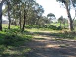 Burley Griffin Way near Galong - Galong: Shady area for parking