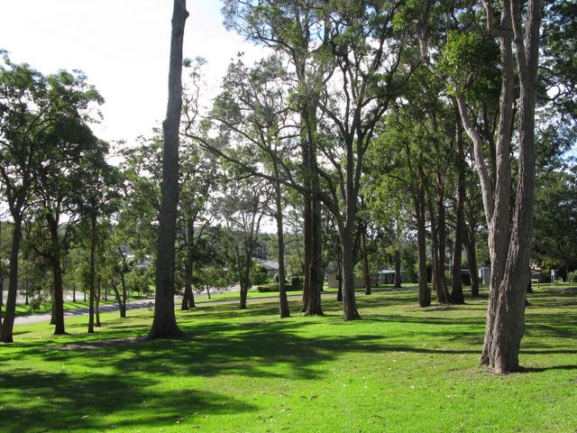 BIG4 Bungalow Park - Burrill Lake: Lots of open space and lovely trees.
