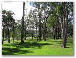 BIG4 Bungalow Park - Burrill Lake: Lots of open space and lovely trees.