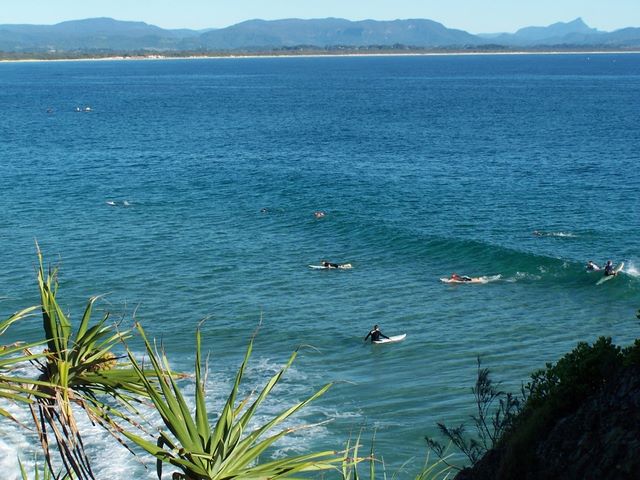 Clarkes Beach Holiday Park - Byron Bay: Surfing at Clarkes Beach