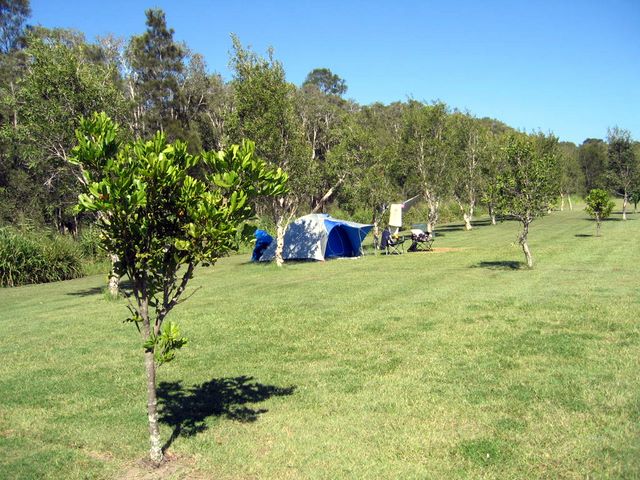 Glen Villa Resort - Byron Bay: Tent sites next to natural bushland