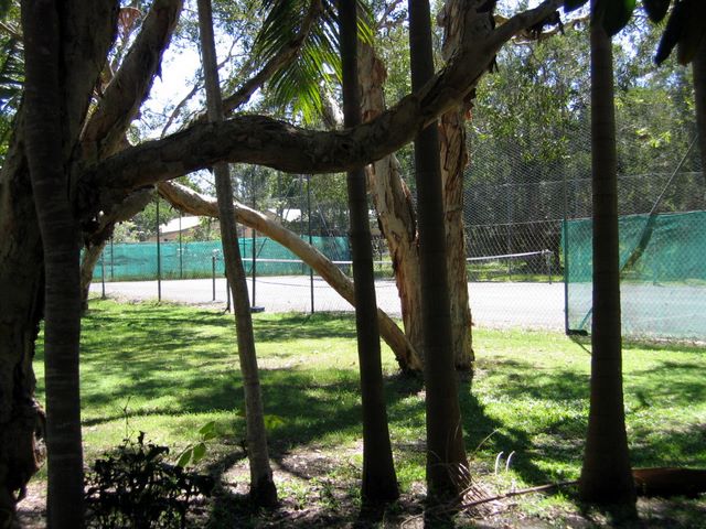 Byron Bay Tourist Village - Byron Bay: Tennis court