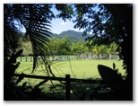 BIG4 Cairns Crystal Cascades Holiday Park - Cairns: Open fields behind the park