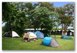 Cairns Holiday Park - Cairns: Area for tents and camping