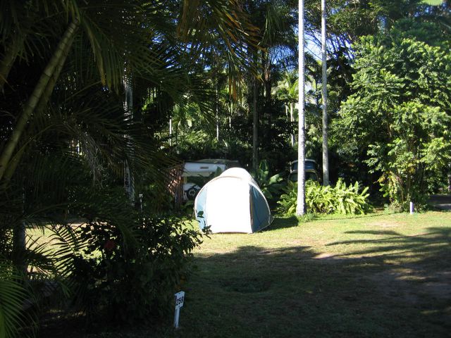 Cairns Villa & Leisure Park - Cairns: Area for tents and camping