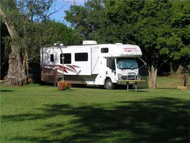 Poplar Tourist Park - Camden: Motorhomes and large rigs are welcome