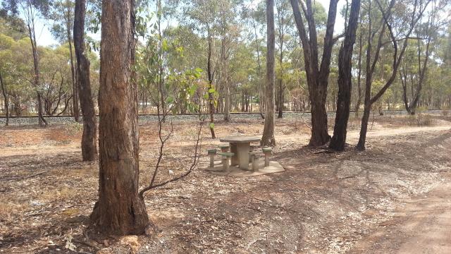 Myers Flat Rest Area - Sailors Gully: Picnic table and seats.