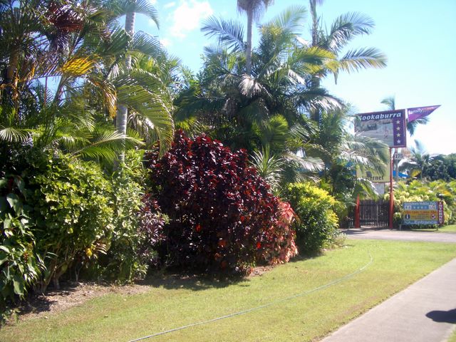 Kookaburra Holiday Park - Cardwell,: Kookaburra Holiday park entrance and welcome sign