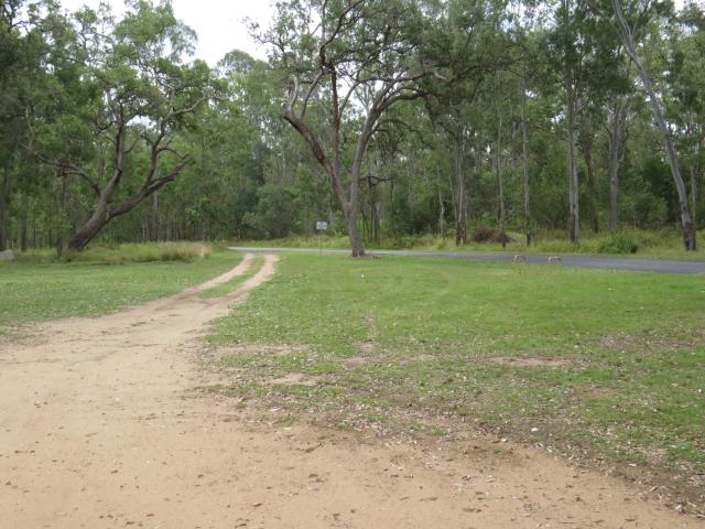 Langdon Reserve - Cedar Vale: Small area.
