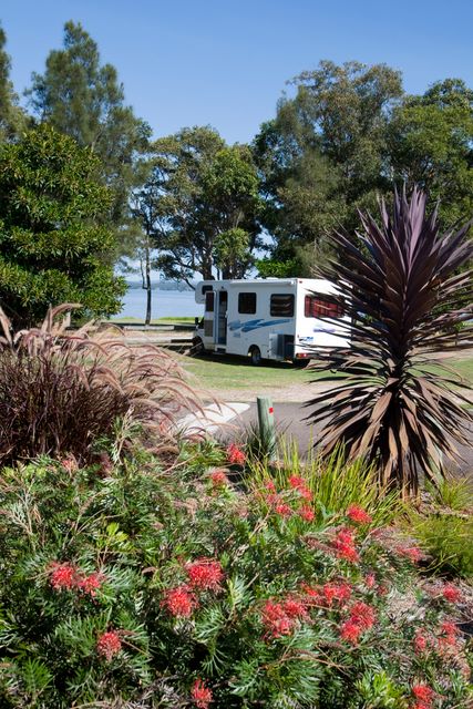Canton Beach Holiday Park - Toukley: Powered sites for caravans and motorhomes
