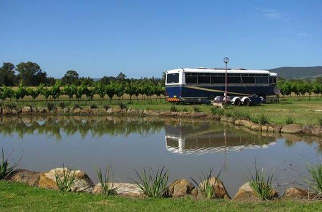BIG4 Valley Vineyard Tourist Park - Cessnock: The park is in a magnificent setting