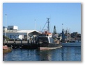 Coffs Harbour Foreshore - Coffs Harbour: 