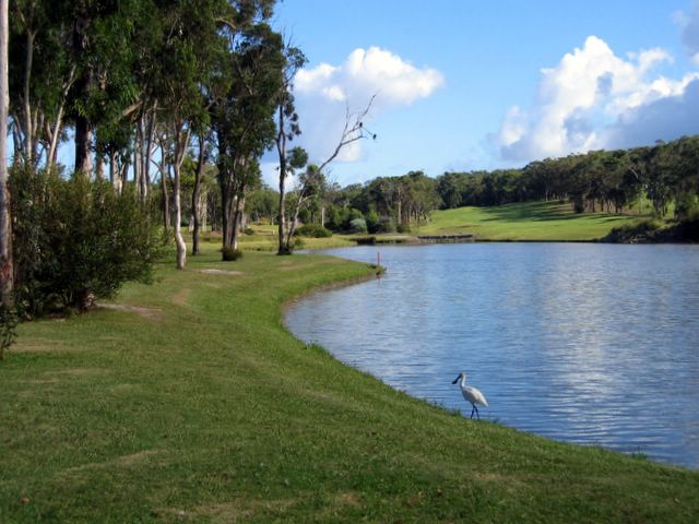 Charlestown Golf Course - Charlestown: Charlestown Golf Course has many attractive lakes