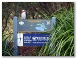 Charlestown Golf Course - Charlestown: Layout of Hole 10 - Par 4, 341 metres with kookaburra