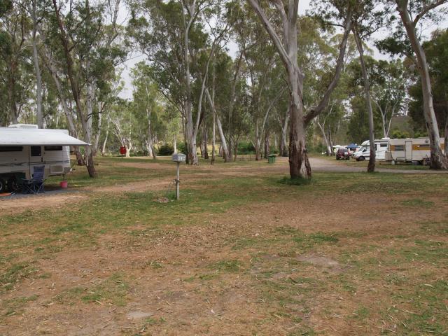 Clare Caravan Park - Clare South: Camp ground on edge of park, overlooked by the Information centre and car park.