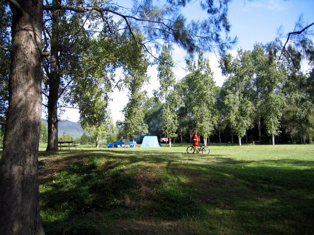 Williams River Caravan Park - Clarence Town: Area for tents and campers