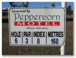 Clermont Golf Course - Clermont: Hole 6: Par 3, 168 metres