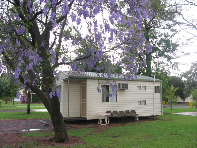 Cobar Caravan Park  - Cobar: Cabin accommodation