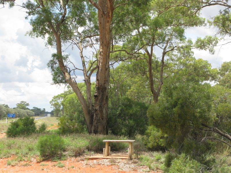 Barrier Highway Bulla Park Rest Area - Cobar: A seat on the edge of nowhere!