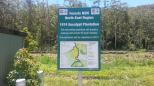 Bruxner Park Road - Coffs Harbour: The plantation has been recently replanted after logging