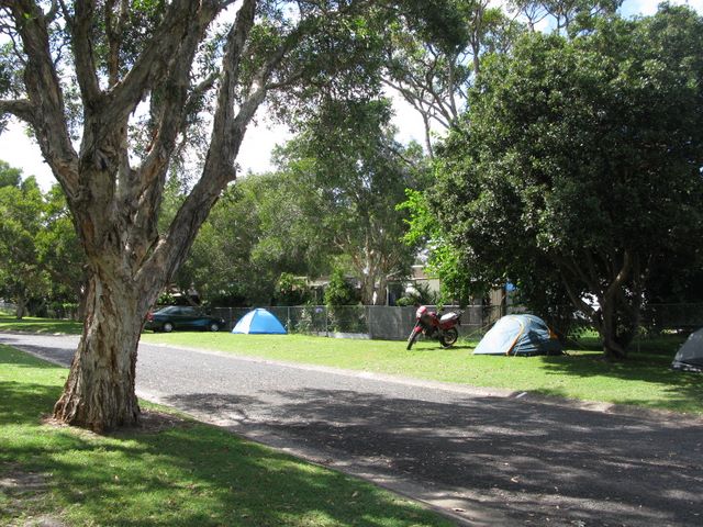 Park Beach Holiday Park 2009 - Coffs Harbour: Area for tents and camping