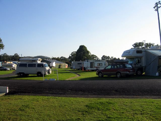 Harbour City Holiday Park - Coffs Harbour: Powered sites in adjacent Coffs Harbour Showground