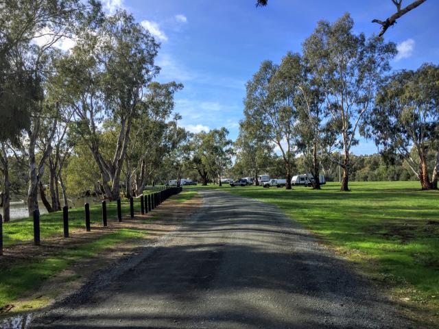 Aysons Reserve Camping Area - Burnewang: There is a gravel road throughout this large camping area.