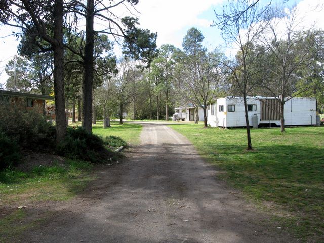 Coleambally Caravan Park - Coleambally: Gravel roads throughout the park