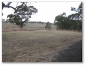 The Black Stump Rest Area - Coolah: Good grass area for tents and camping