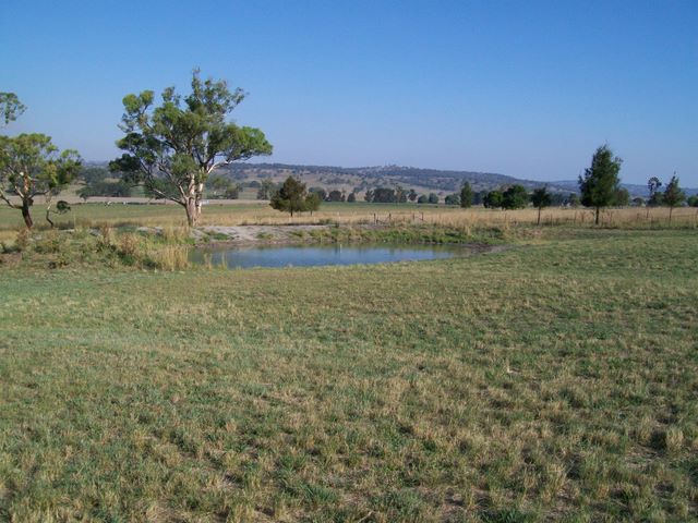 Glenron - Coolah: Camping area near dam