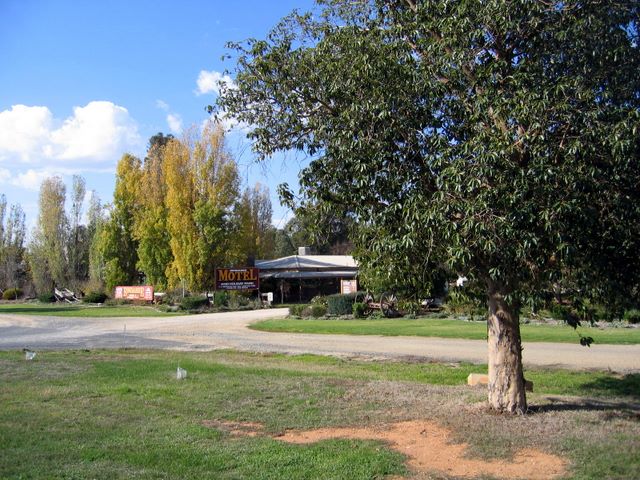 Bindaree Motel & Caravan Park - Corowa: View of the park from the road.