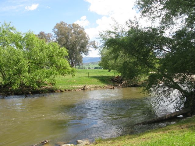 Colac Colac Caravan Park - Colac Colac near Corryong: River directly behind the park