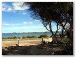 Harbour View Caravan Park - Cowell: Water view to town.