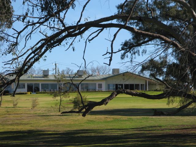 Cowra Golf Club - Cowra: View of the Clubhouse from Hole 2 fairway.