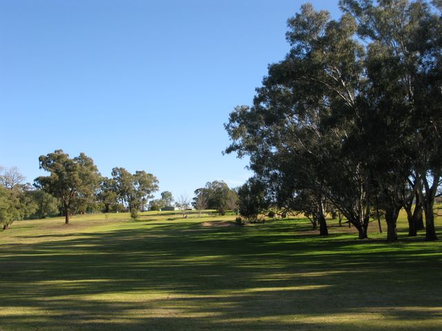 Cowra Golf Club - Cowra: Approach to the green on Hole 2