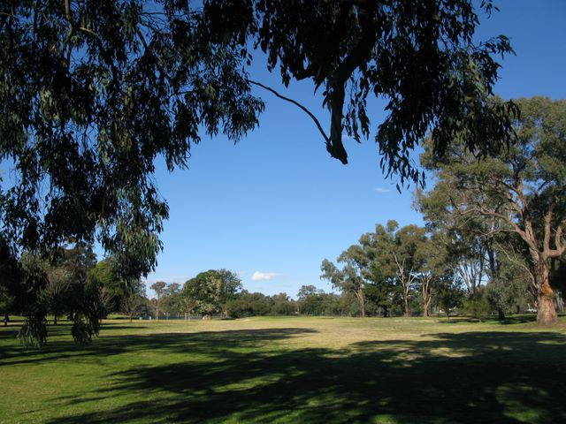Cowra Golf Club - Cowra: Approach to the green on Hole 3.