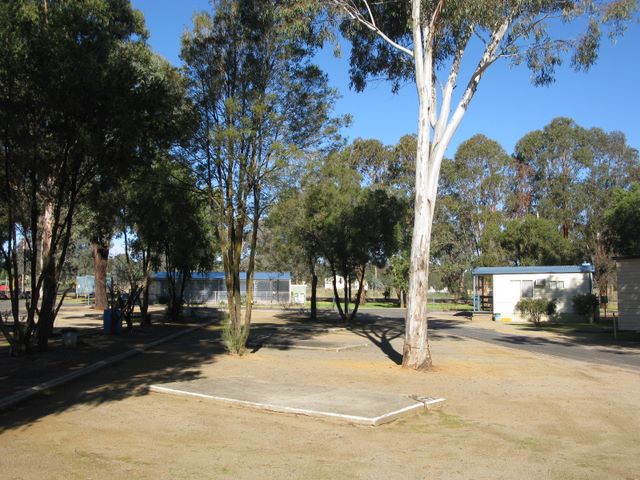 Cowra Holiday Park - Cowra: Powered sites for caravans
