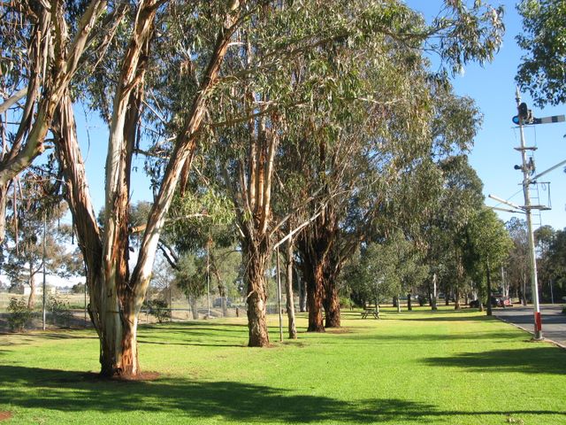 Cowra Holiday Park - Cowra: Area for tents and camping