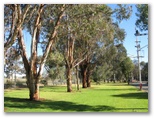 Cowra Holiday Park - Cowra: Area for tents and camping
