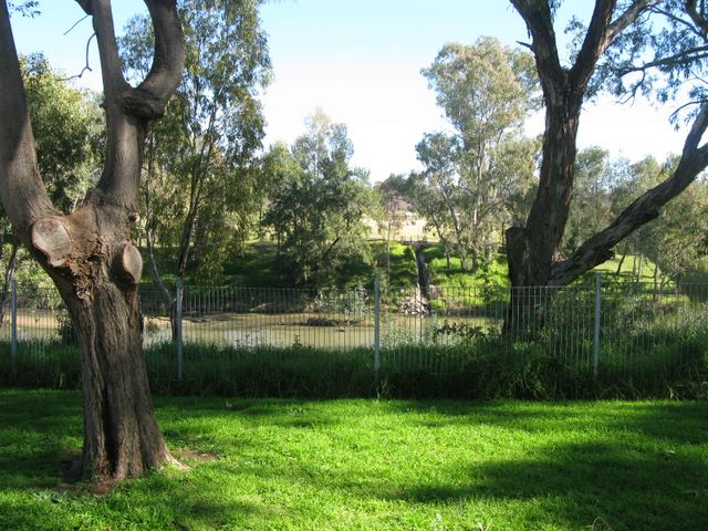 Cowra Van Park - Cowra: View of the river behind the powered sites