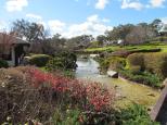 Cowra Van Park - Cowra: Cowra Japanese Gardens