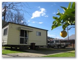 Cowra Van Park - Cowra: Cabin accommodation