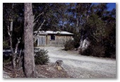 Discovery Holiday Parks - Cradle Mountain - Cradle Mountain: Rustic cabin