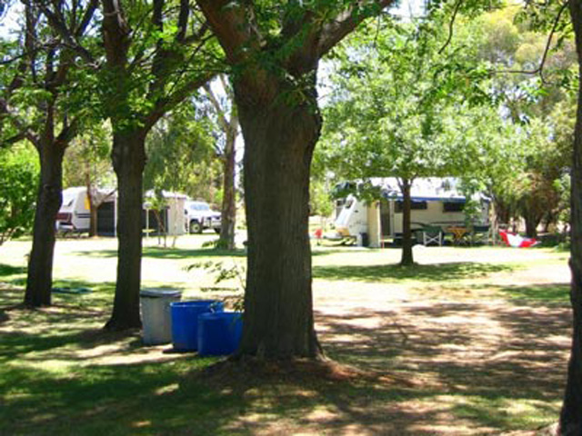 Fort Courage Caravan Park - Wentworth: Shady powered sites for caravans 
