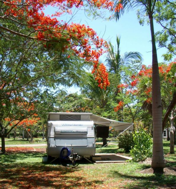 Darwin FreeSpirit Resort - Darwin Holtze: Shady powered sites for caravans