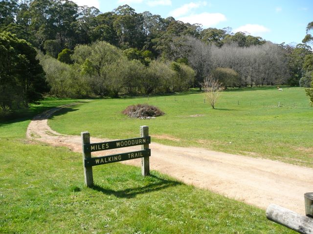 Jubilee Lake Holiday Park - Daylesford: Good walking trails adjacent to the park