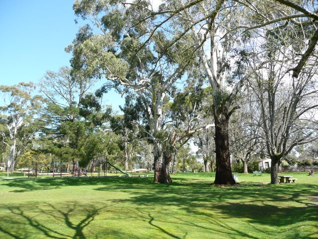Jubilee Lake Holiday Park - Daylesford: Area for tents and camping