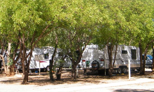 Kimberley Entrance Caravan Park - Derby: Shady powered sites for caravans