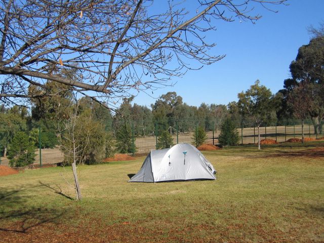 Dubbo City Holiday Park - Dubbo: Area for tents and camping