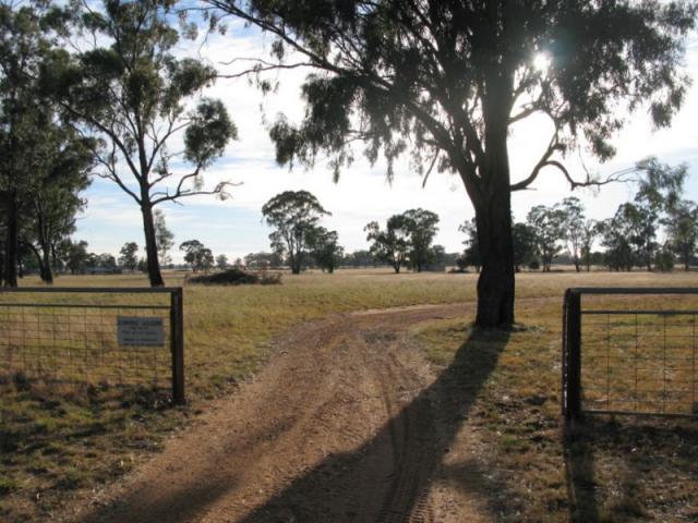 Eumungerie Recreation Reserve - Dubbo: Access road and there is plenty of space for large vehicles to pass.